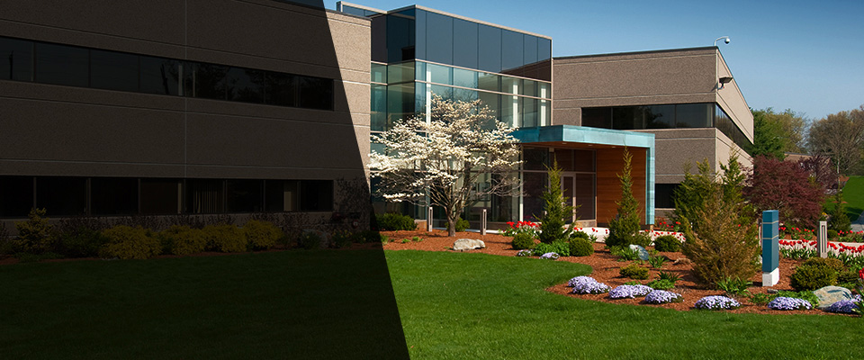 Locust Grove Landscapers