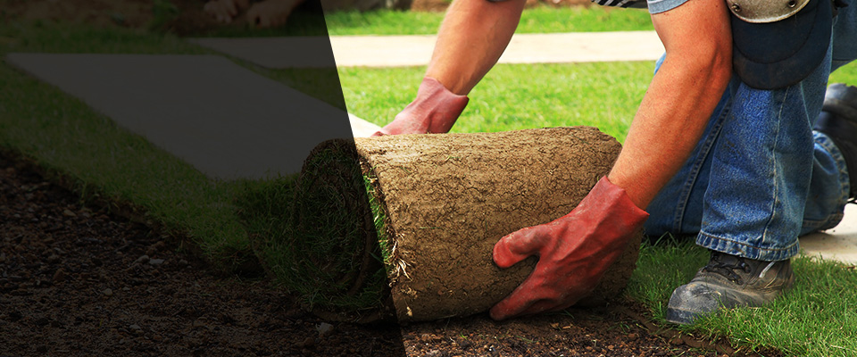 Locust Grove Landscapers